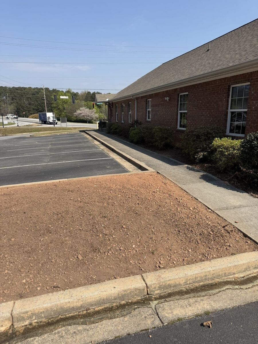 Before – bare landscape bed