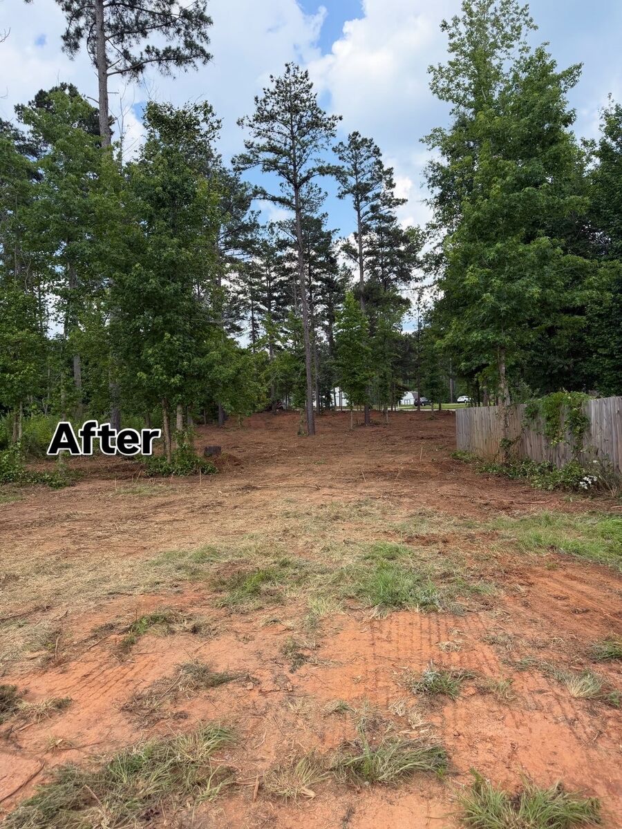 After – cleared land